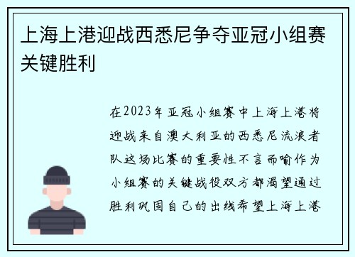上海上港迎战西悉尼争夺亚冠小组赛关键胜利