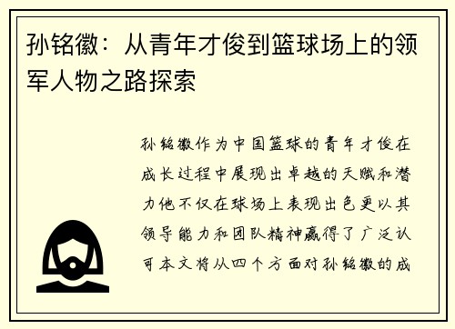 孙铭徽：从青年才俊到篮球场上的领军人物之路探索
