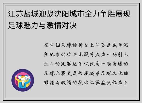 江苏盐城迎战沈阳城市全力争胜展现足球魅力与激情对决
